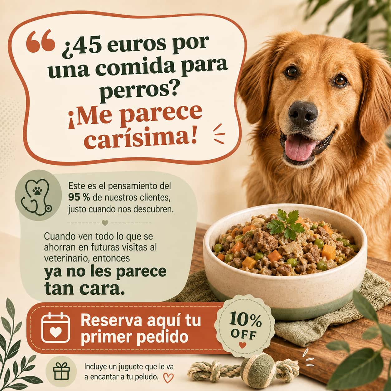 COMIDA PERROS